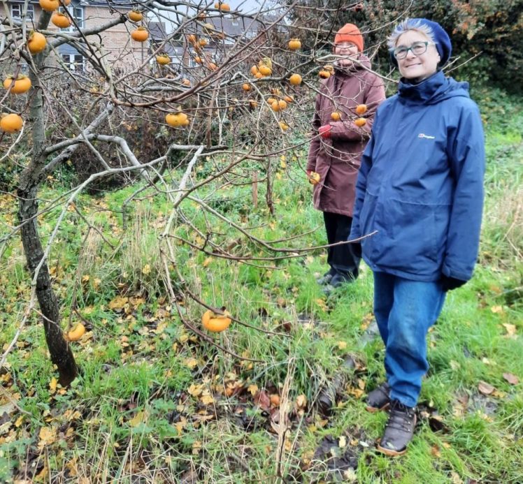 Join Forest Gardeners on Sunday 21 December 2025, 10am in Hollingdean Park, Growing Hollingdean volunteers