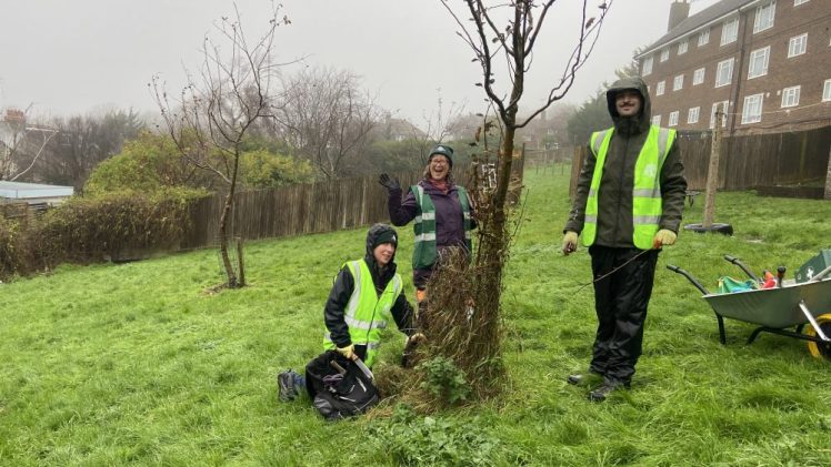 Tree Guardian volunteers pruning apple trees 7th December 2025