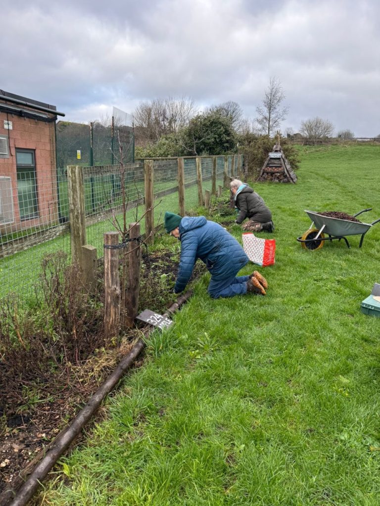 Forest Gardening on the 3rd Sunday of the month