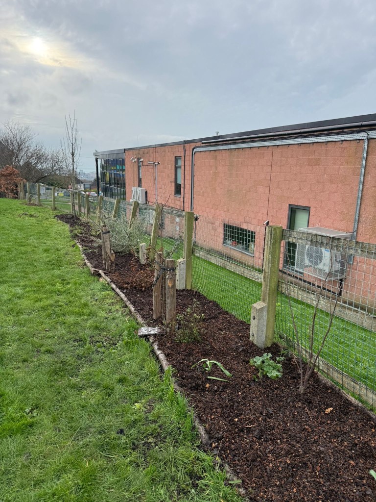 Forest Gardening on the 3rd Sunday of the month