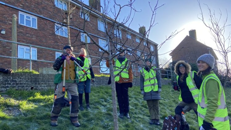 Growing Hollingdean Tree guardians seen in Merevale on Sunday 3rd January 2026