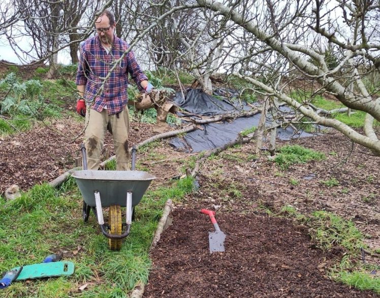 Join us for Forest Gardening on 15th February 2026, Hollingdean Park with Growing Hollingdean