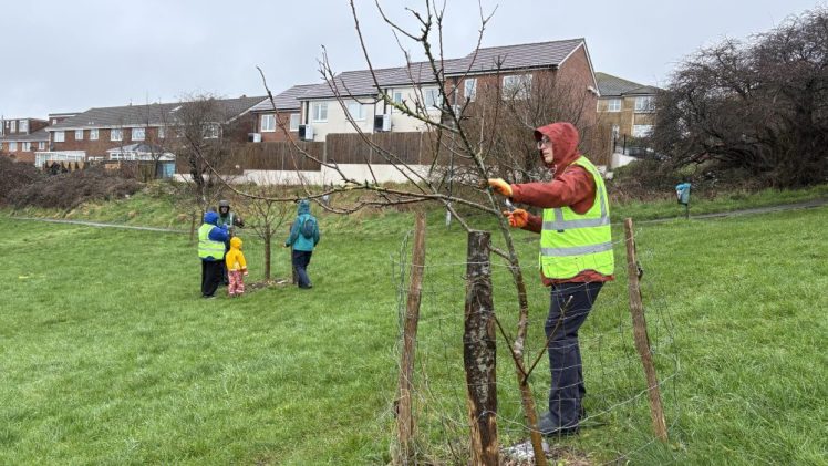 Tree Guardians seen in Merevale Orchard 1st February 2026