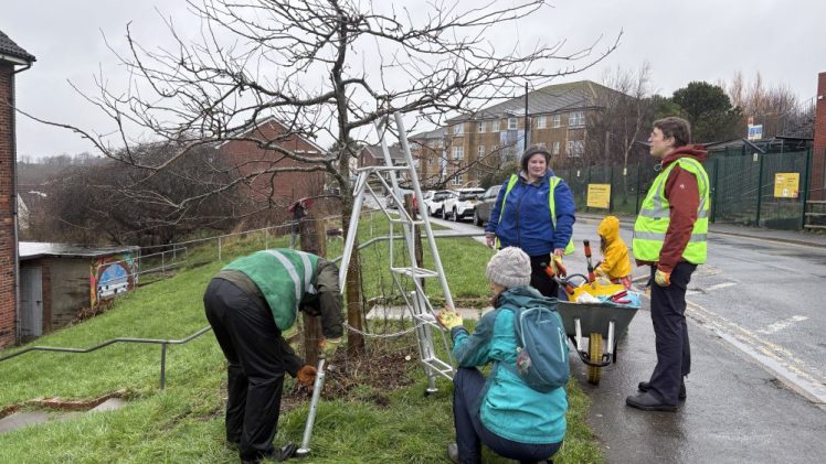 Growing Hollingdean Tree Guardians seen on Brentwood Road, 1st February 2026
