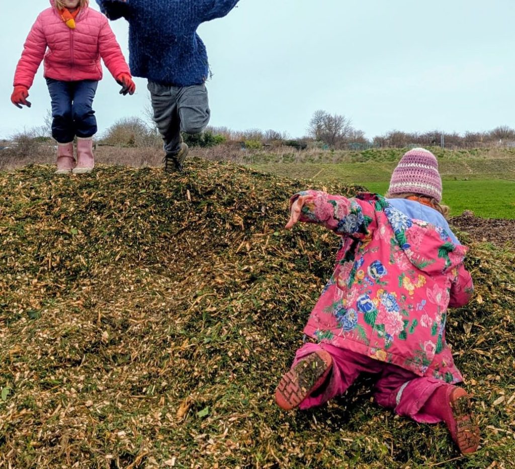 Get Growing volunteers planted a new trees at the Family Hub, February 2026