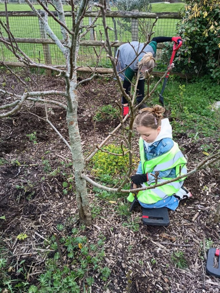 Forest Gardening Sunday 19 March 2026