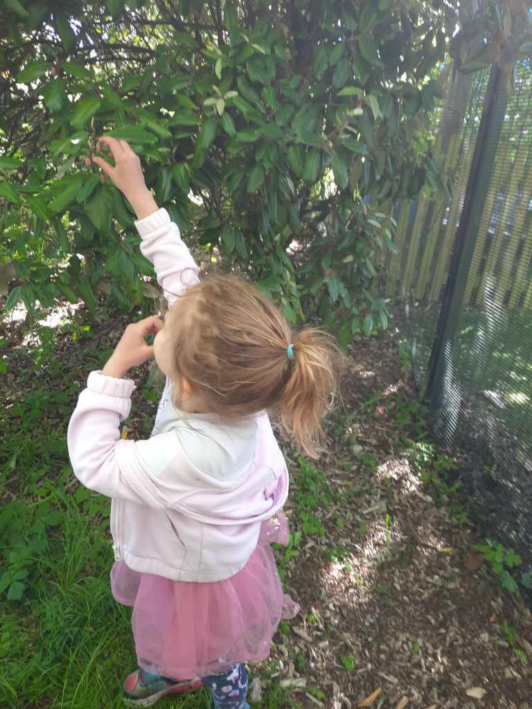 Forest Gardening in Hollingdean Community Orchard Sunday 19th April 2026