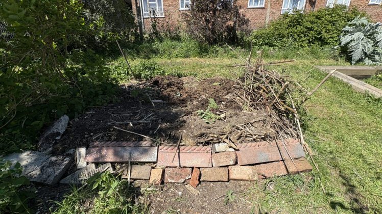 New Rhubarb Bed Spring 2026, Two Tree Community Garden, Tavistock Down Hollingdean Brighton