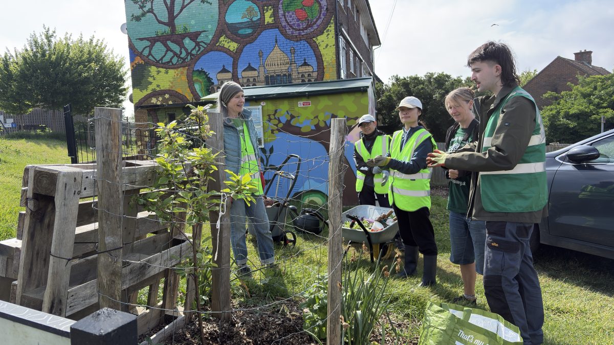 Tree Guardian Volunteers planting around Hollingdean's tree first Sunday in May 2026