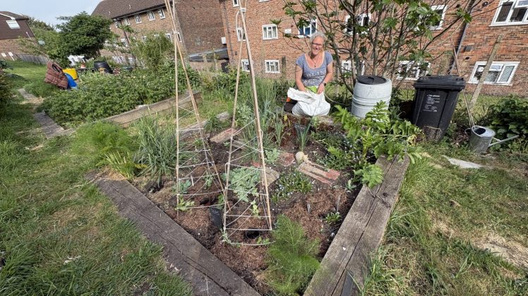 Mel is planting up the vegetable beds a bit differently this year at Two Trees Community Garden 2026