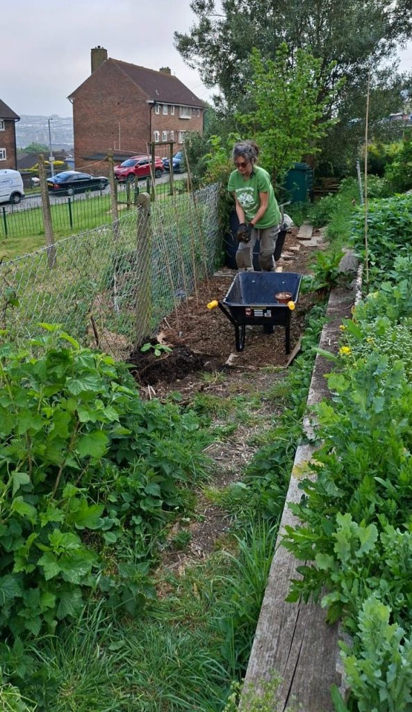 Pathway weeding, levelling with woodchip, Spring 2026, Two Trees Community Garden Hollingdean Brighton