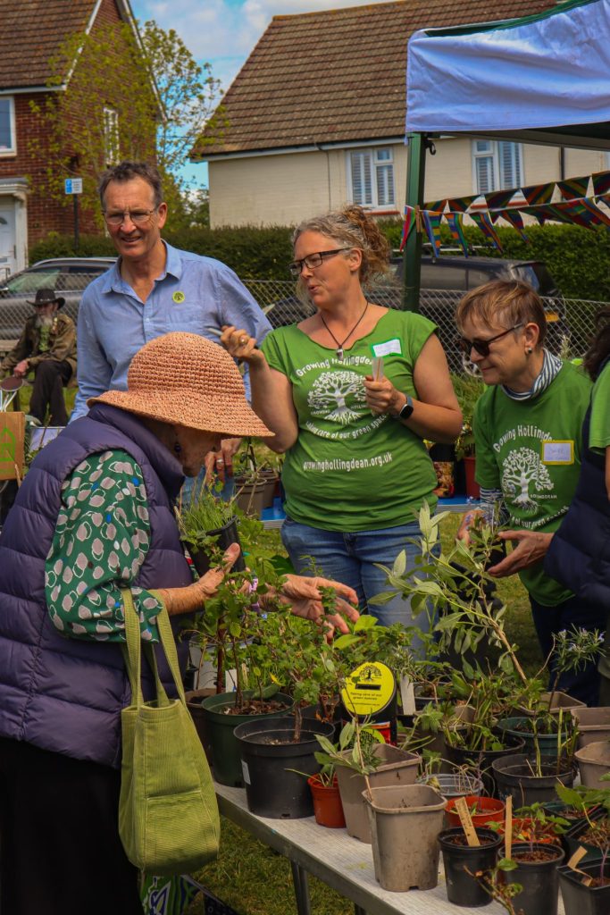 Growing Hollingdean's AGM Plant & Seed Fair 2026 at St Richards