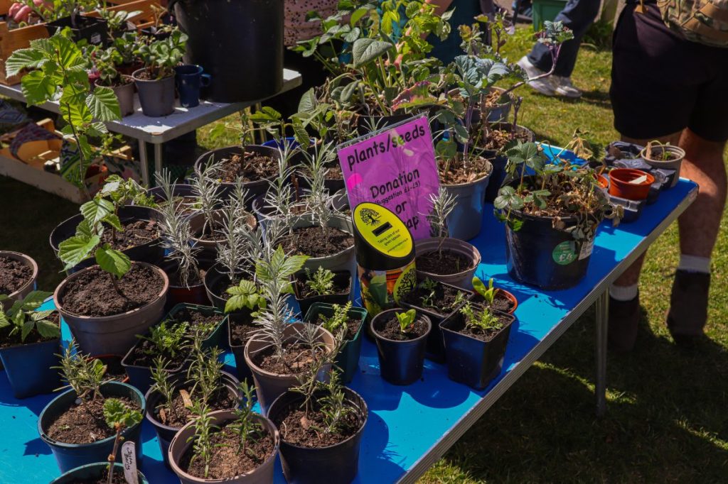 Growing Hollingdean's AGM Plant & Seed Fair 2026 at St Richards