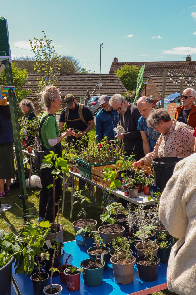 Growing Hollingdean's AGM Plant & Seed Fair 2026 at St Richards