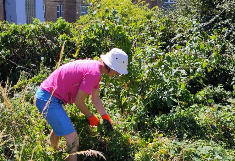 Forest Gardening July 2025 in Hollingdean Park