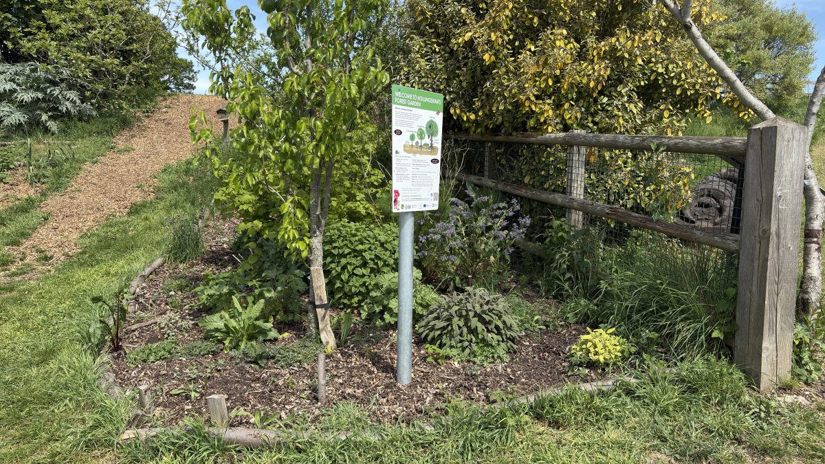 Join Forest Gardeners, Hollingdean Park Orchard