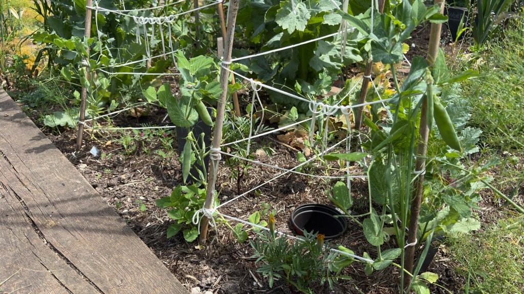 Two Tree Community Garden May 2026