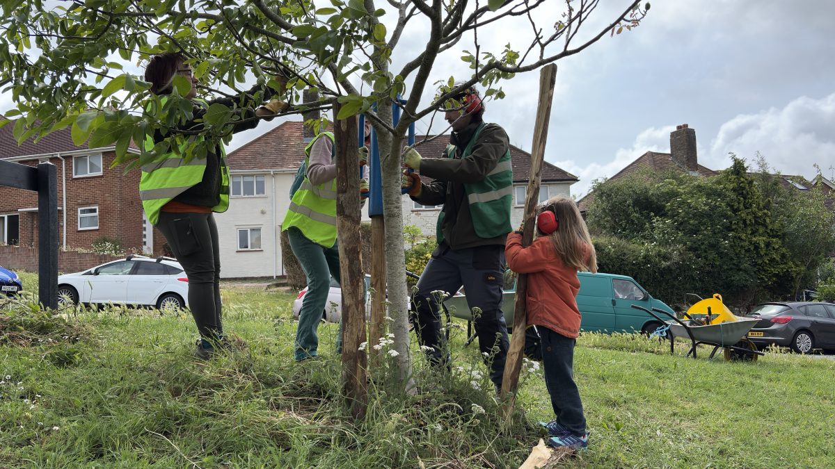 Volunteer Tree Guardians on Stephens Road 7th June 2026