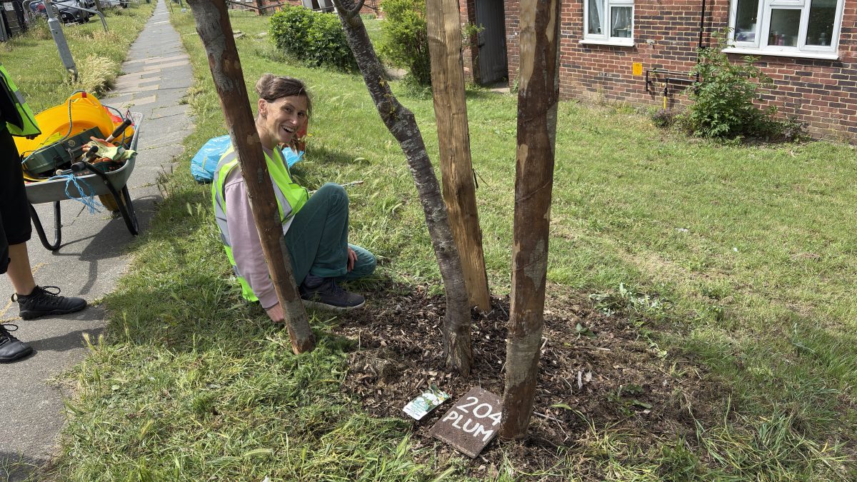 Volunteer Tree Guardians on Stephens Road 7th June 2026
