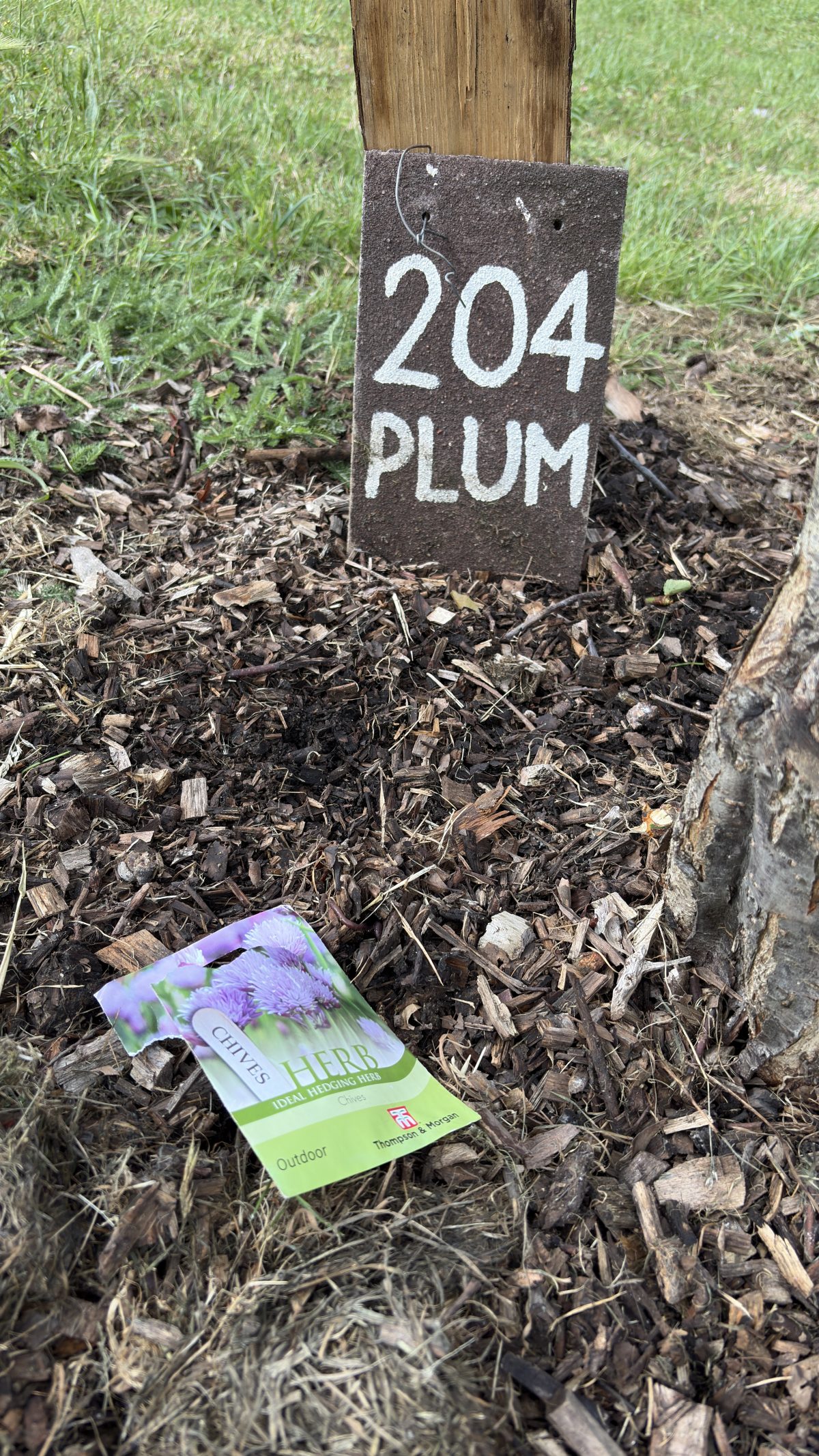 Volunteer Tree Guardians on Stephens Road 7th June 2026