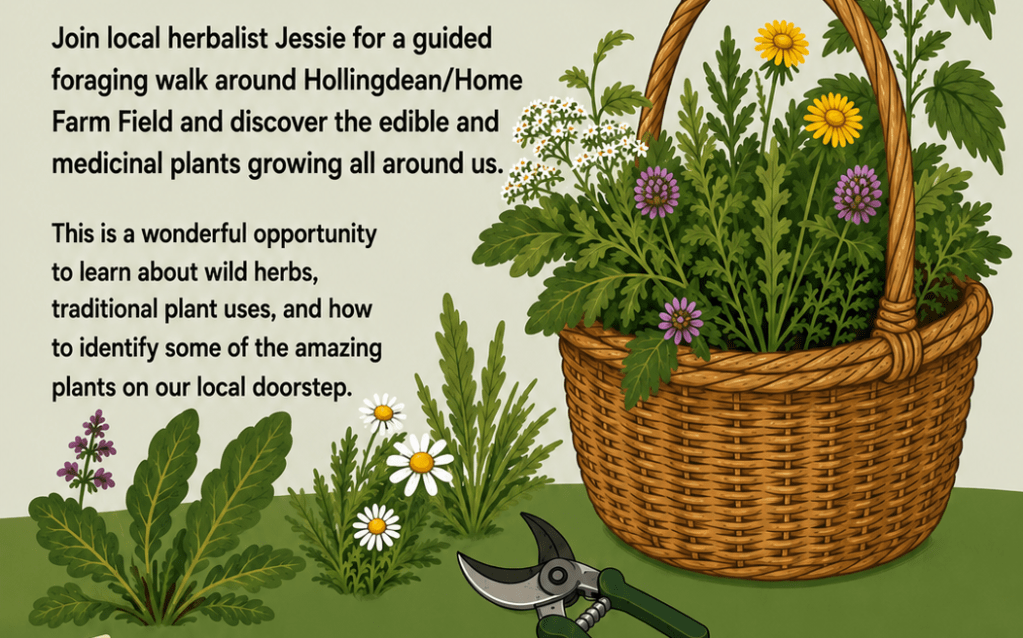 Herbalist & Foraging Walk in Hollingdean, 12 June 2026