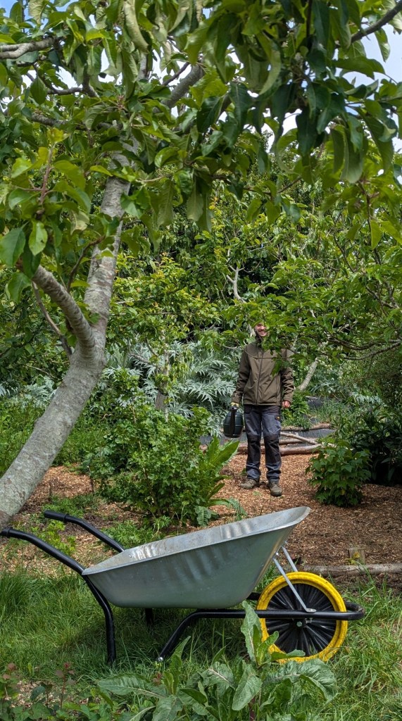 Join Forest Gardeners, Hollingdean Park Orchard, 17 May 2026