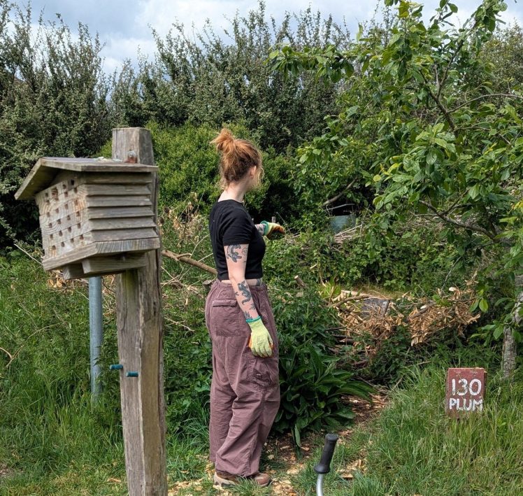Join Forest Gardeners, Hollingdean Park Orchard, 17 May 2026