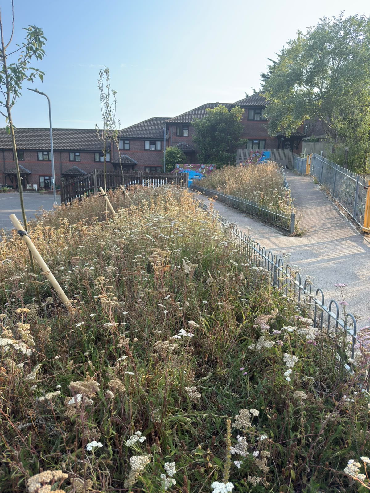 Lynchet Close Community Garden, Hollingdean refurbishment in 2026