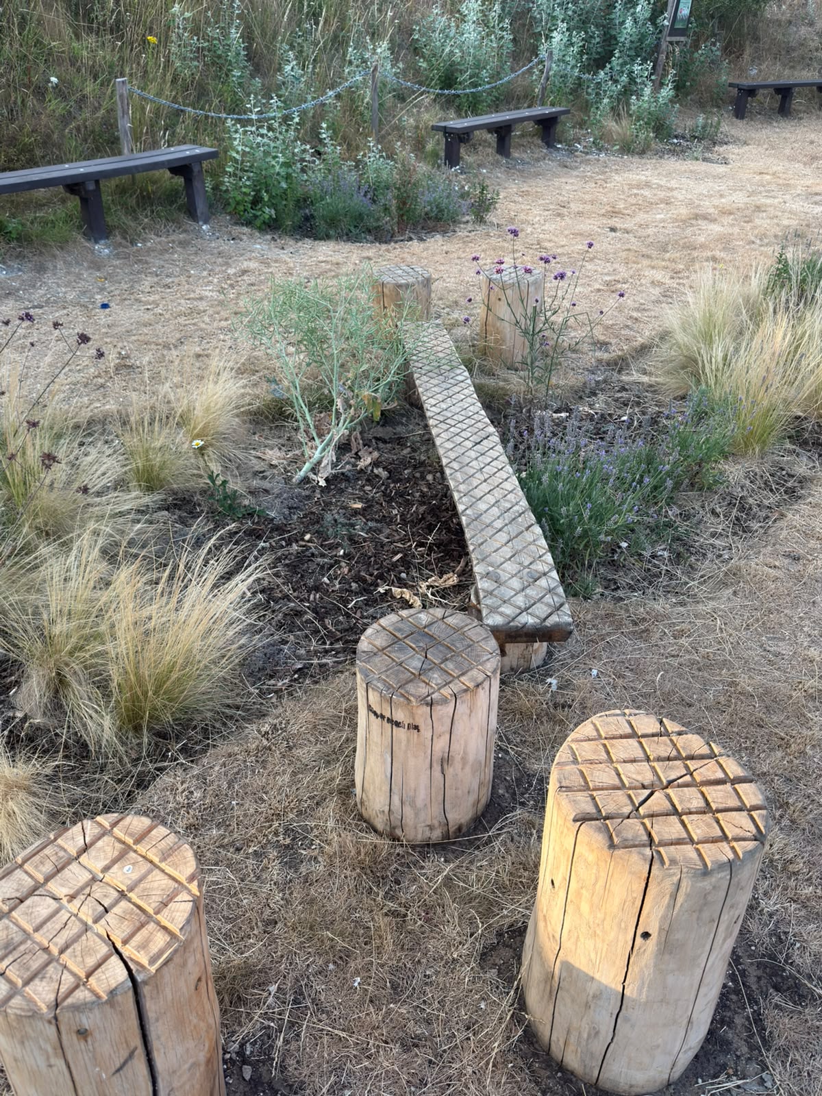 Lynchet Close Community Garden, Hollingdean refurbishment in 2026