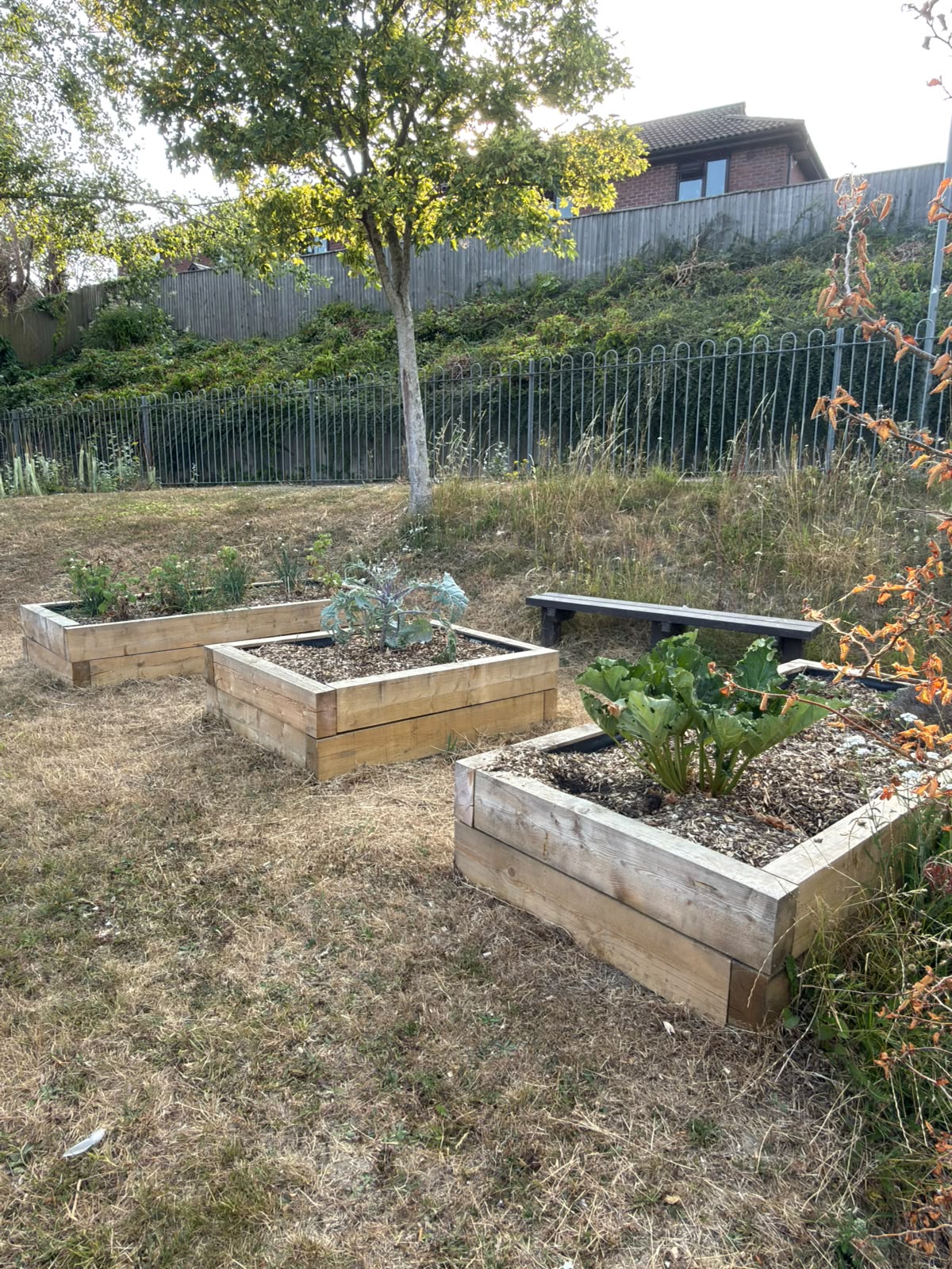 Lynchet Close Community Garden, Hollingdean refurbishment in 2026