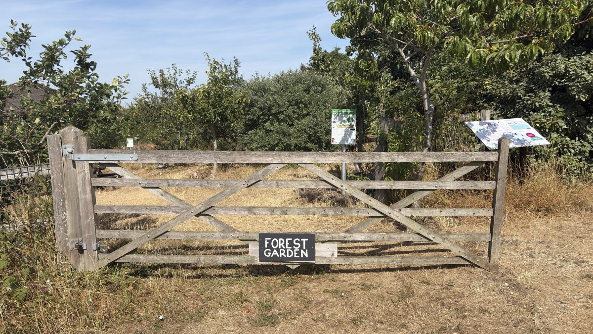 Join Forest Gardeners Sunday, 16th August 2026