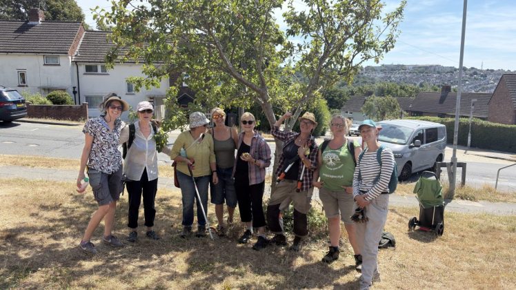 Growing Hollingdean Tree Guardians 2nd August 2026