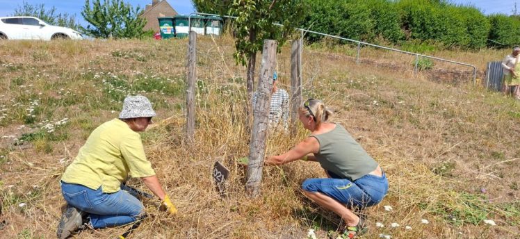 Growing Hollingdean Tree Guardians 2nd August 2026