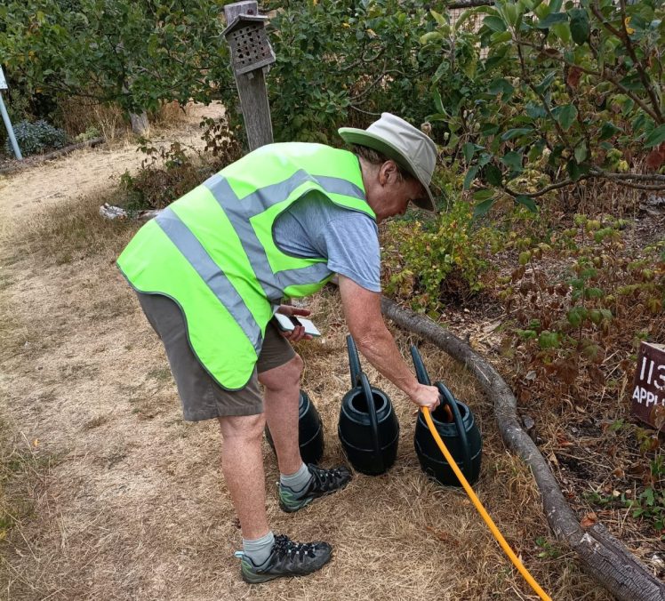 FOrest Gardening in Hollingdean Park 16 August 2026