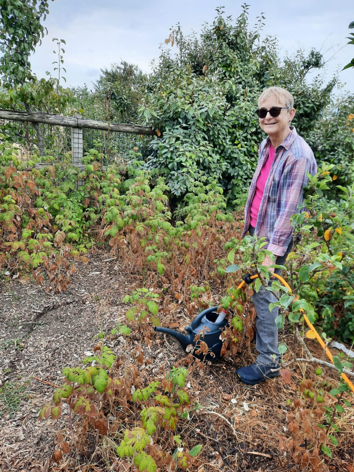 FOrest Gardening in Hollingdean Park 16 August 2026