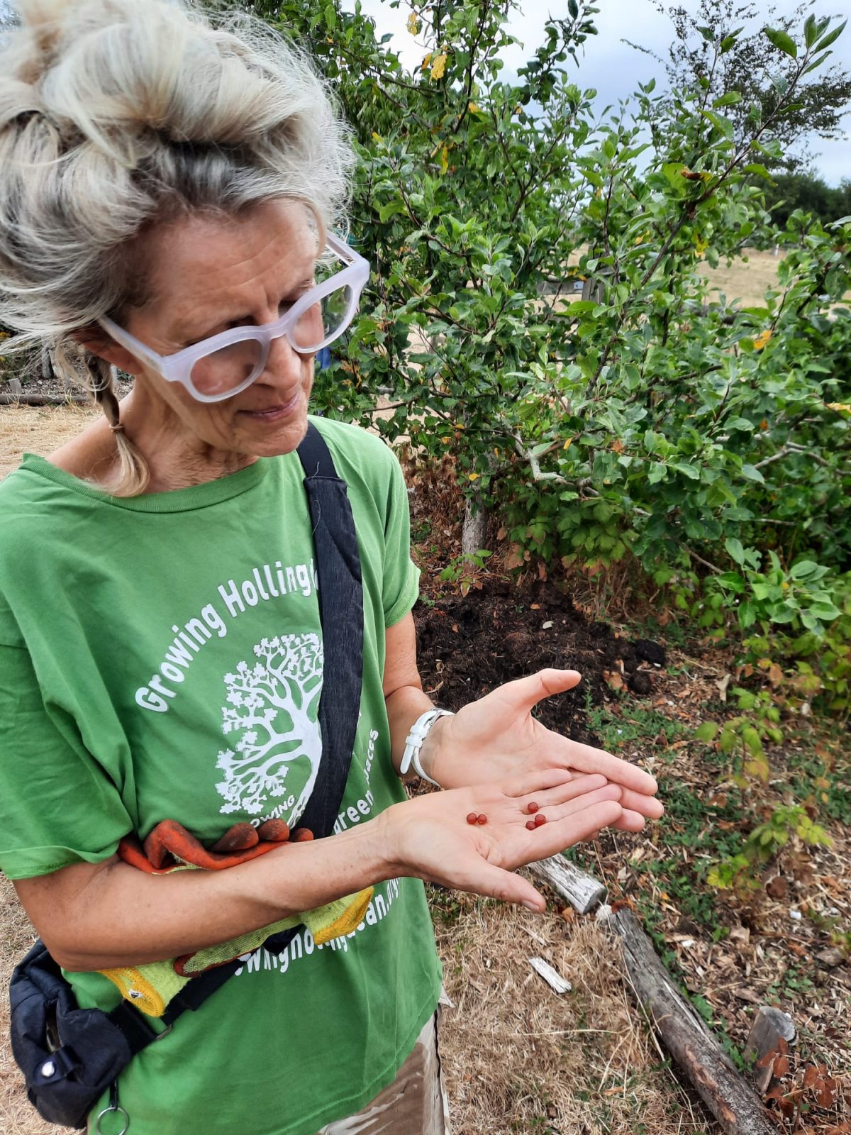 FOrest Gardening in Hollingdean Park 16 August 2026