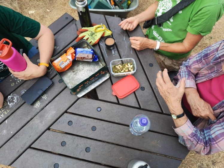 FOrest Gardening in Hollingdean Park 16 August 2026