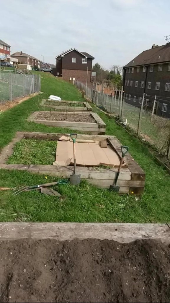 Two Trees Community Garden 2014