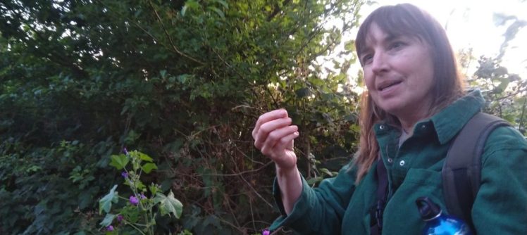 Locals enjoyed Herbalist & Foraging Walk in Hollingdean by Jessie Martelhof organised by Growing Hollingdean , July 2026