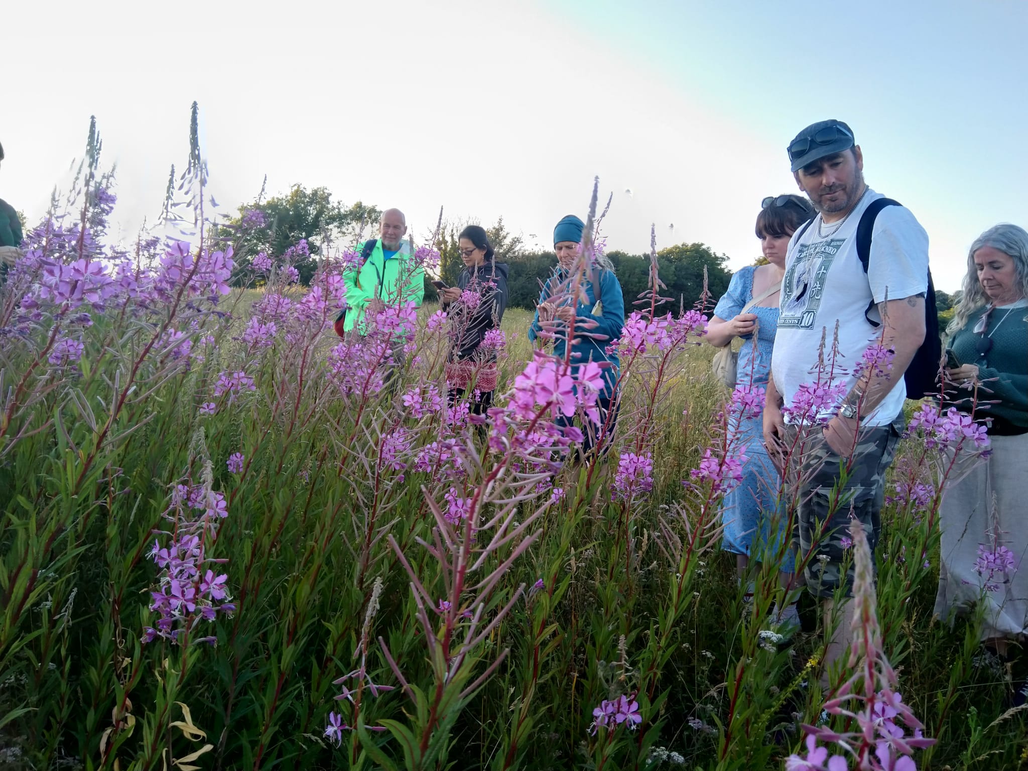 Locals enjoyed Herbalist & Foraging Walk in Hollingdean by Jessie Martelhof organised by Growing Hollingdean , July 2026