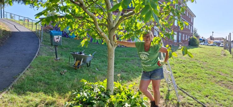 Growing Hollingdean volunteer, Polly a Tree Guardians did on 6th September 2026