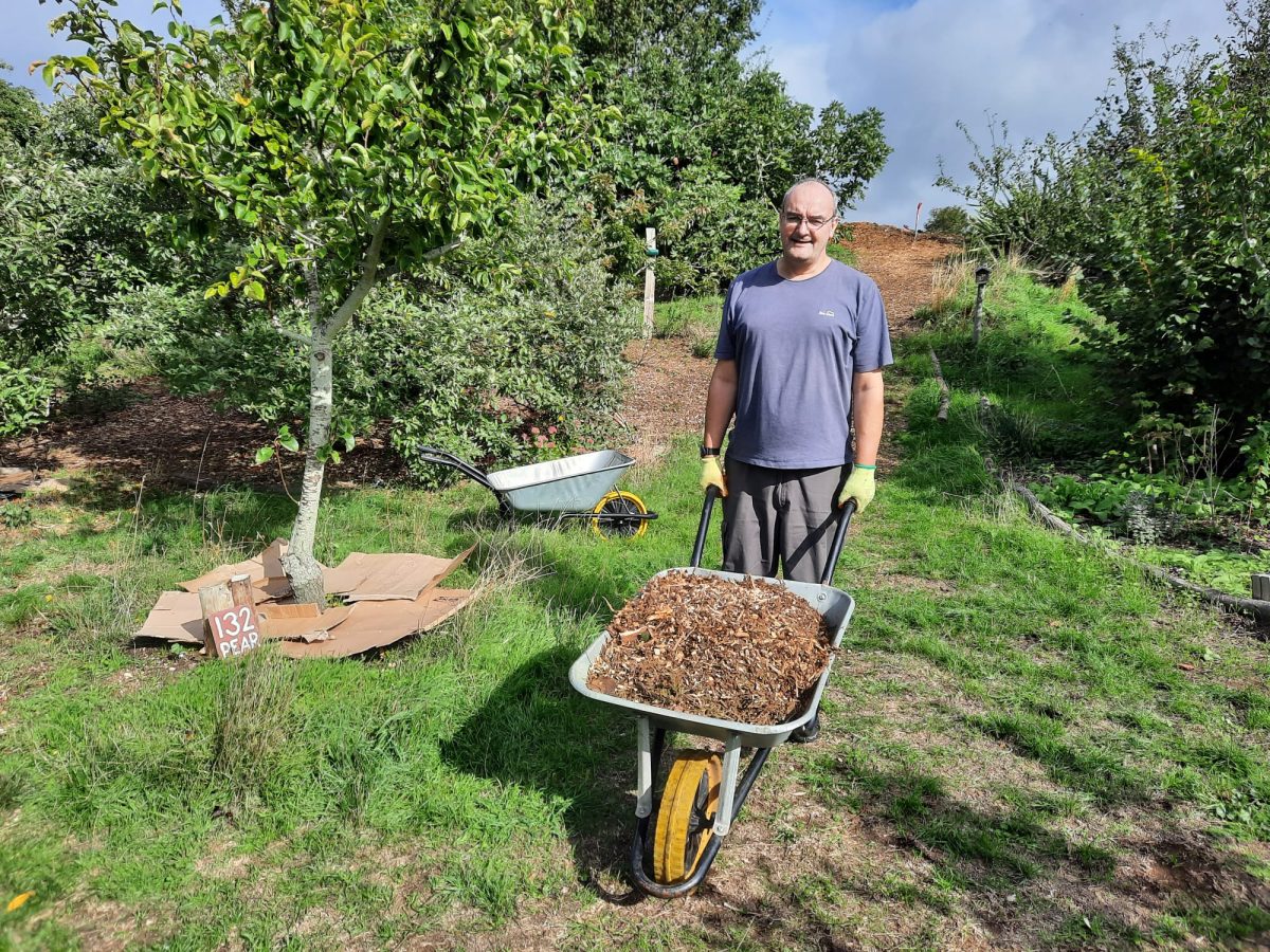 Forest Gardening 20th September 2026, Growing Hollingdean volunteers, Hollingdean Community Orchard and Park