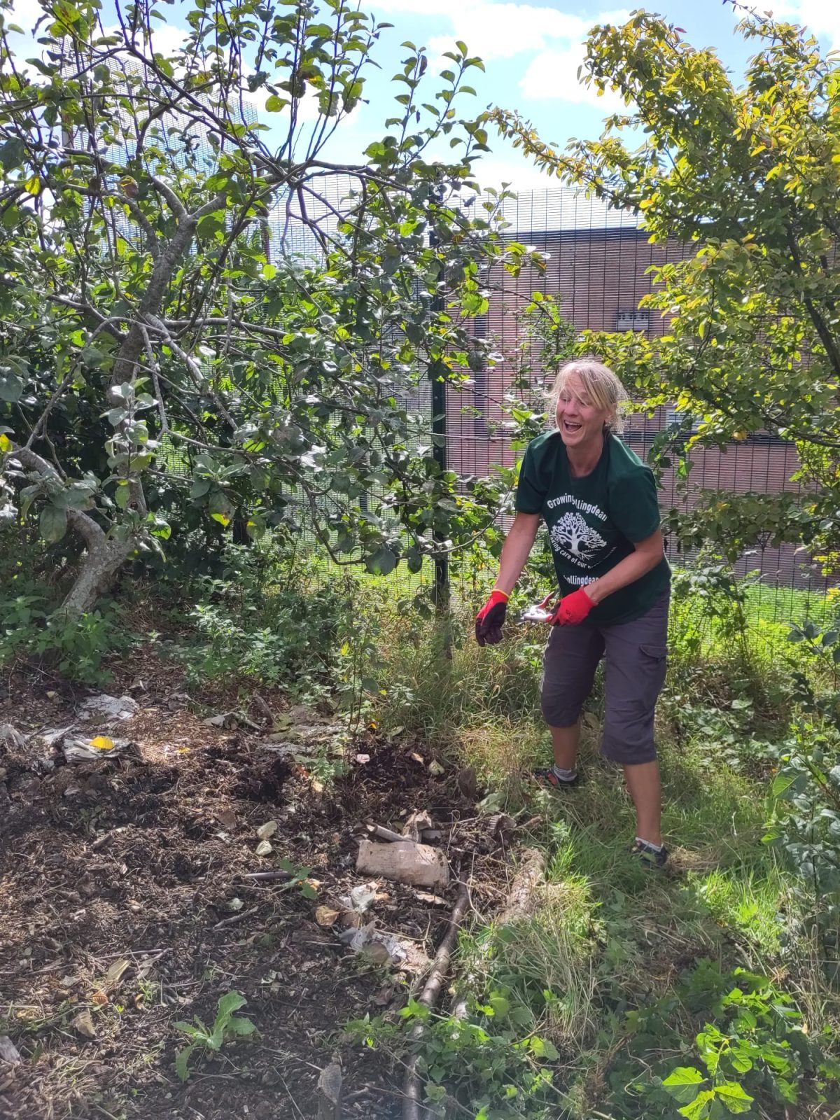 Forest Gardening 20th September 2026, Growing Hollingdean volunteers, Hollingdean Community Orchard and Park