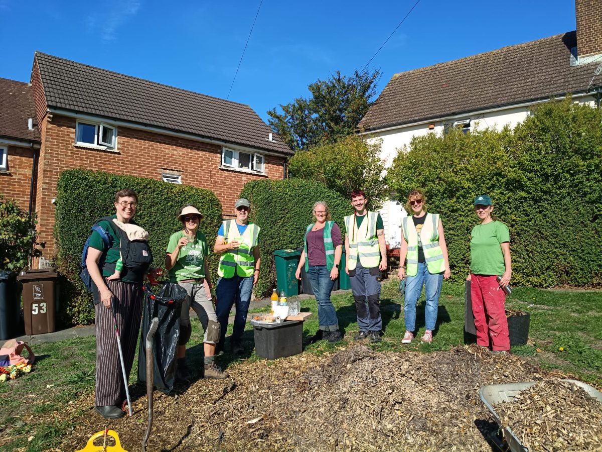 Growing Hollingdean Tree Guardians on 4th October 2026 on Davy Drive mulching trees