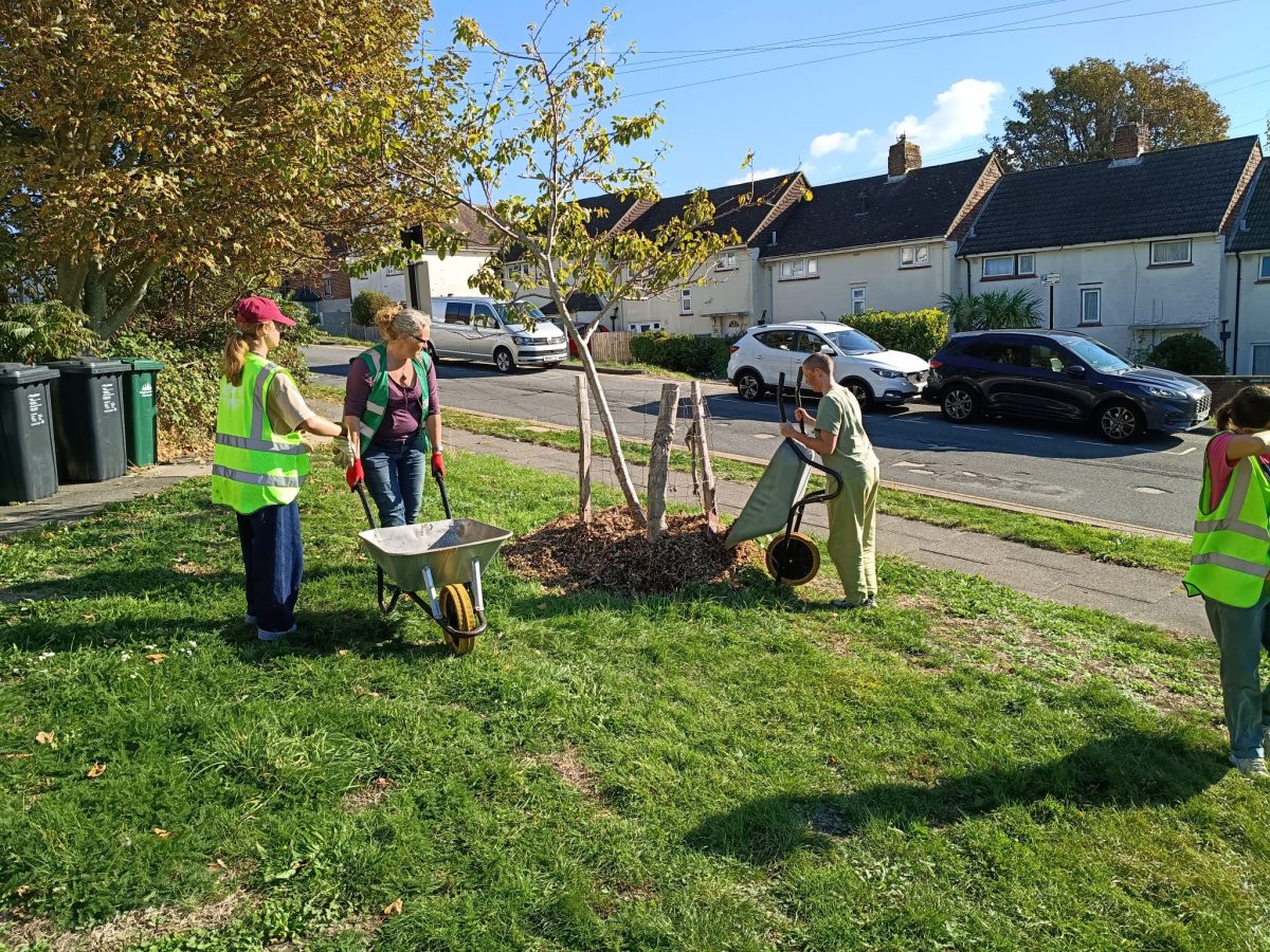 Growing Hollingdean Tree Guardians on 4th October 2026 on Davy Drive mulching trees