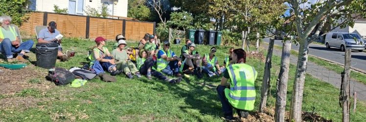 Growing Hollingdean Tree Guardians on 4th October 2026 on Davy Drive mulching trees